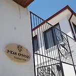 Otel Pikan Ephesus 5*