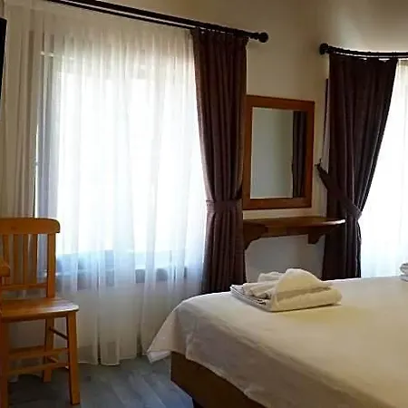 Pikan Ephesus 셀주크