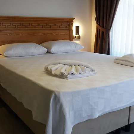 Pikan Ephesus * セルチュク