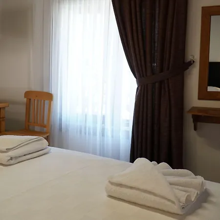 Pikan Ephesus セルチュク